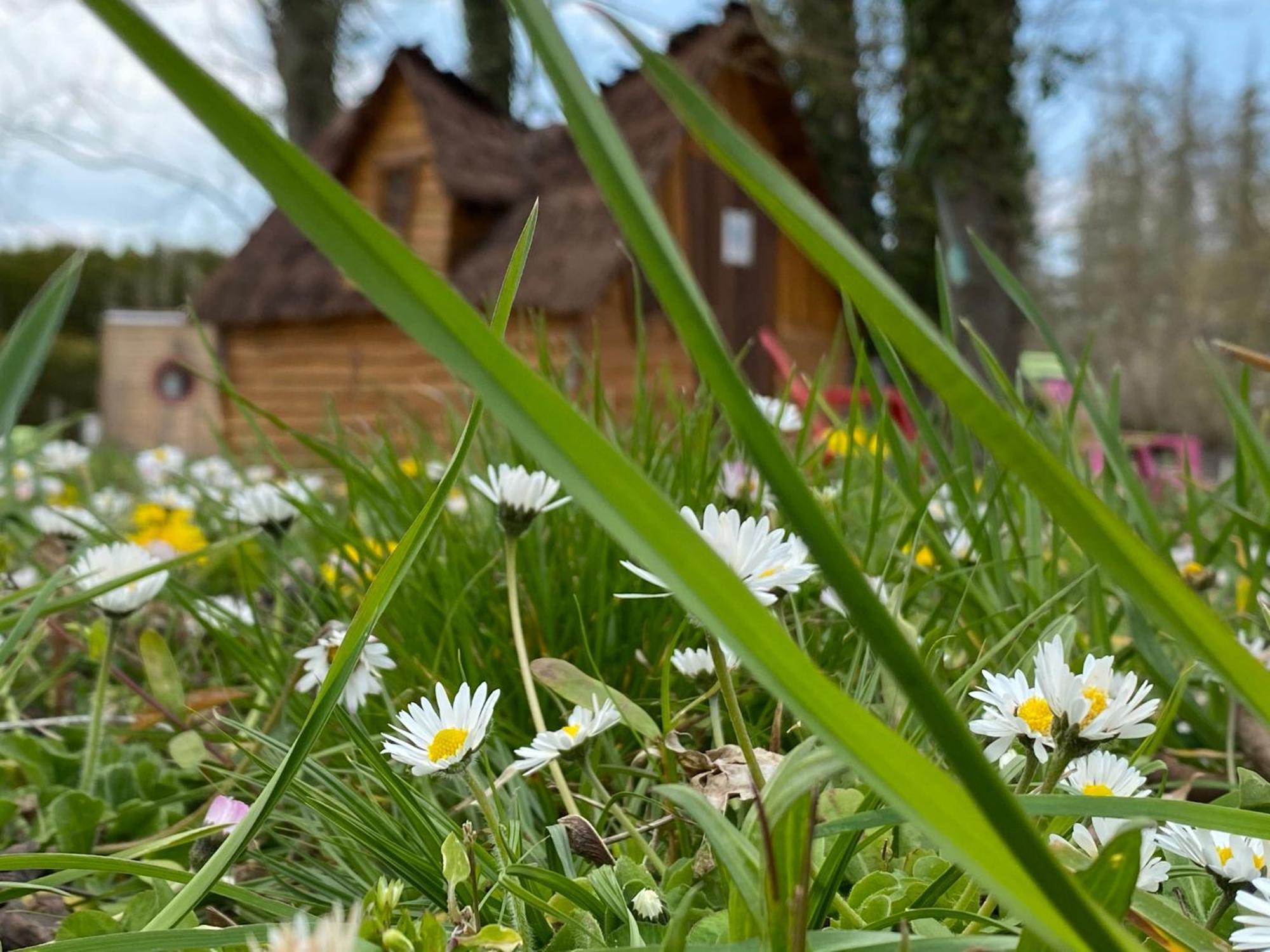 Le Village De La Champagne - Slowmoov บา-ซู-โรบ ภายนอก รูปภาพ